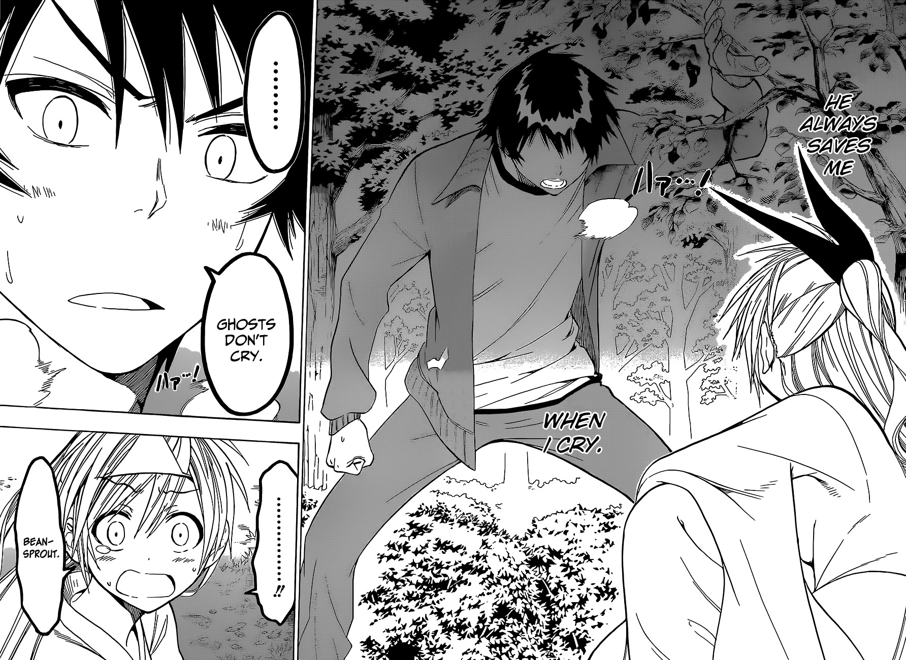 Nisekoi chapter 25 page 12