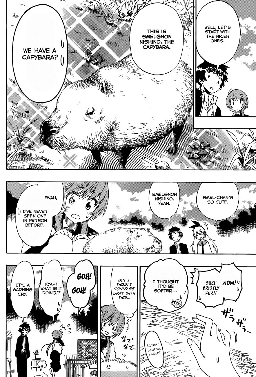Nisekoi chapter 142 page 6