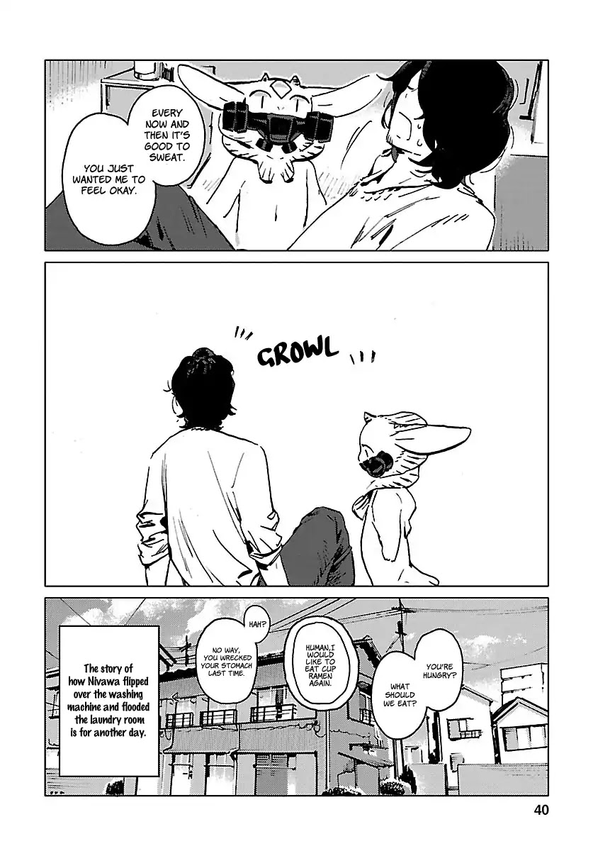 Nivawa to Saitou chapter 2 page 17