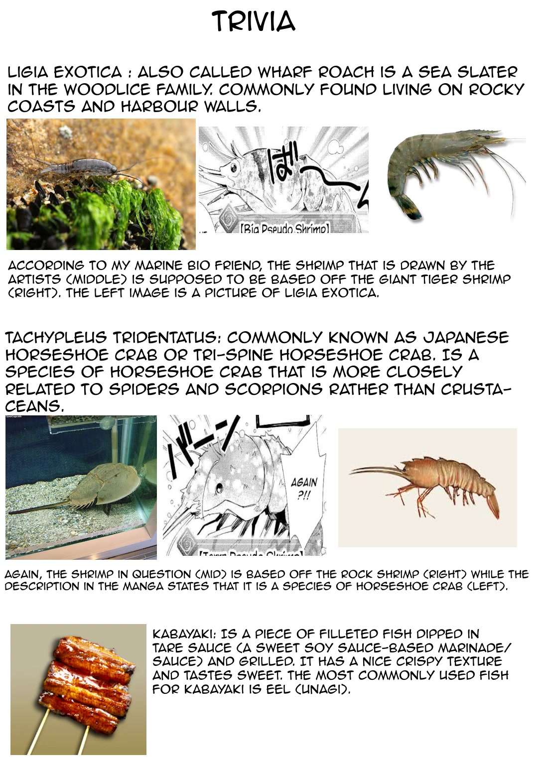 Nonbiri VRMMOki chapter 56 page 26