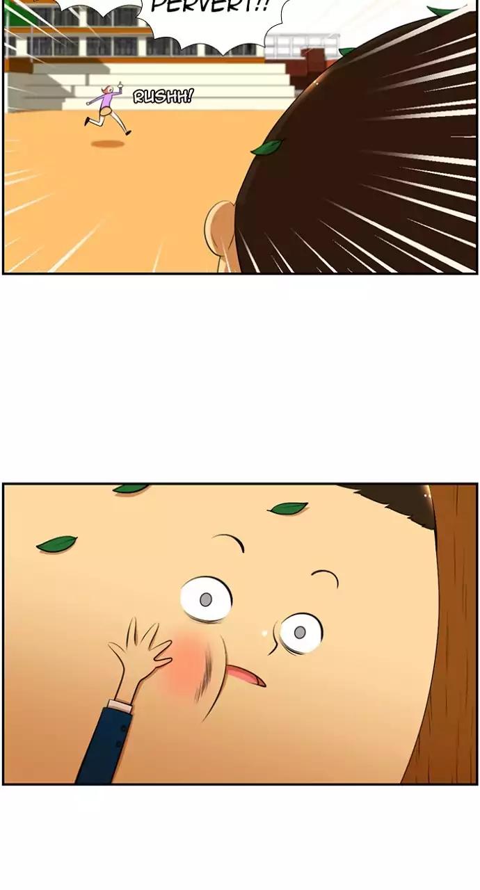 Normal Class 8 chapter 178 page 13