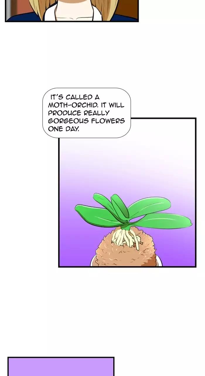 Normal Class 8 chapter 183 page 26