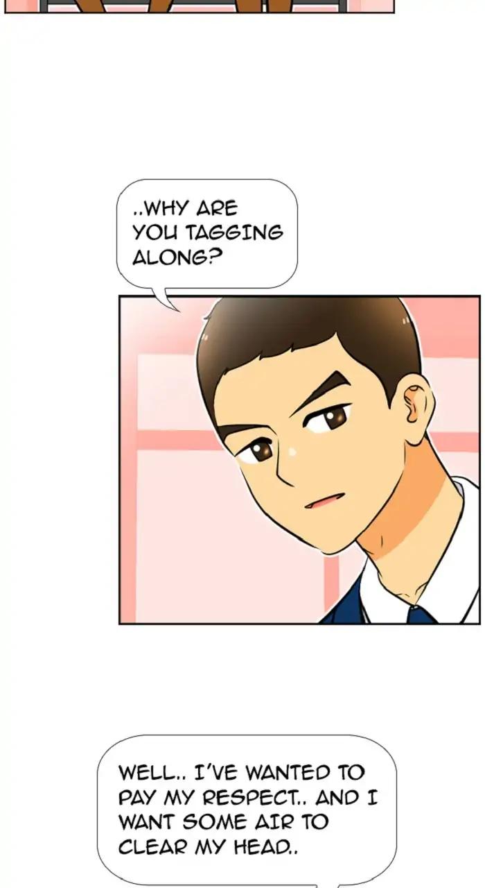 Normal Class 8 chapter 241 page 19