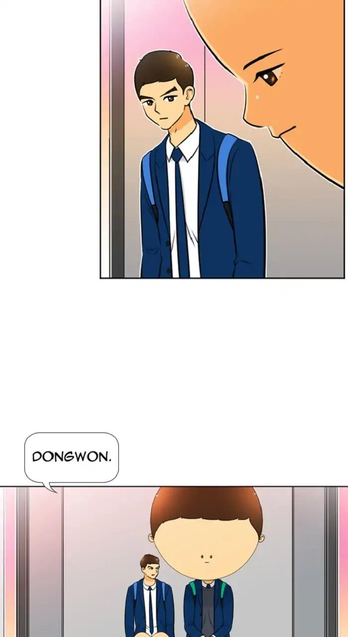 Normal Class 8 chapter 241 page 54