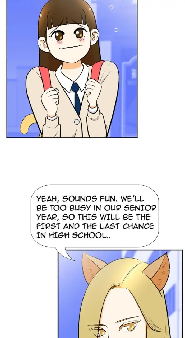 Normal Class 8 chapter 243 page 21