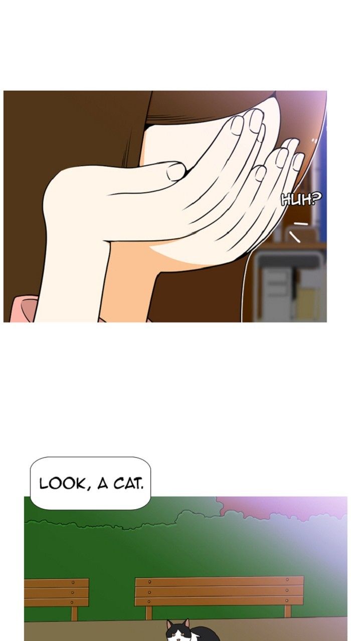 Normal Class 8 chapter 311 page 31