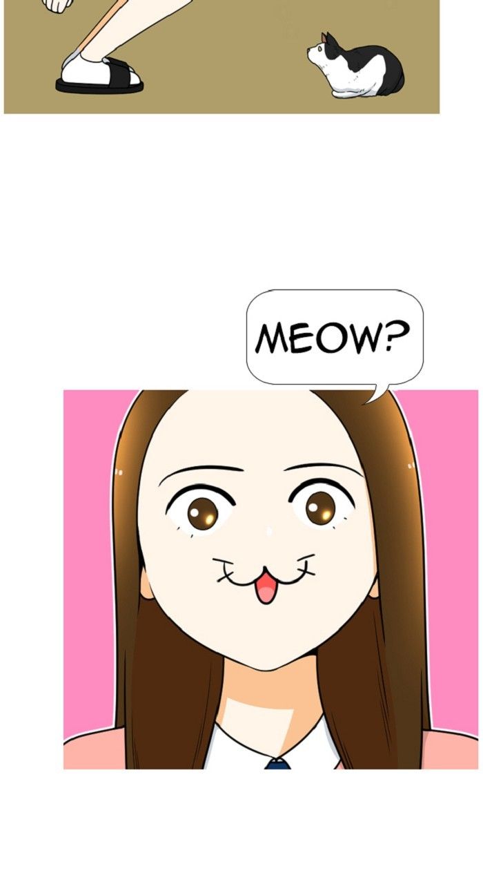 Normal Class 8 chapter 311 page 33