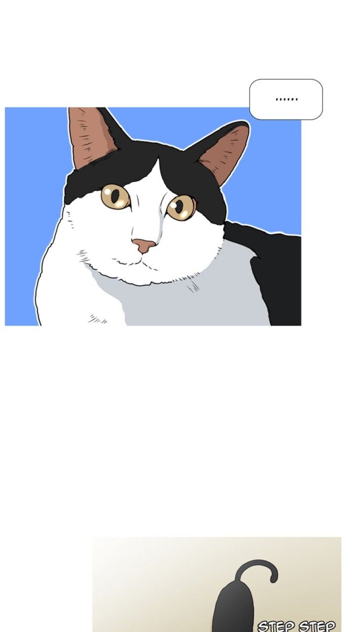 Normal Class 8 chapter 311 page 34