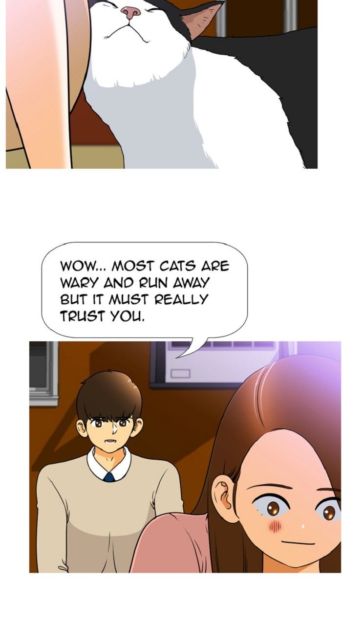 Normal Class 8 chapter 311 page 36