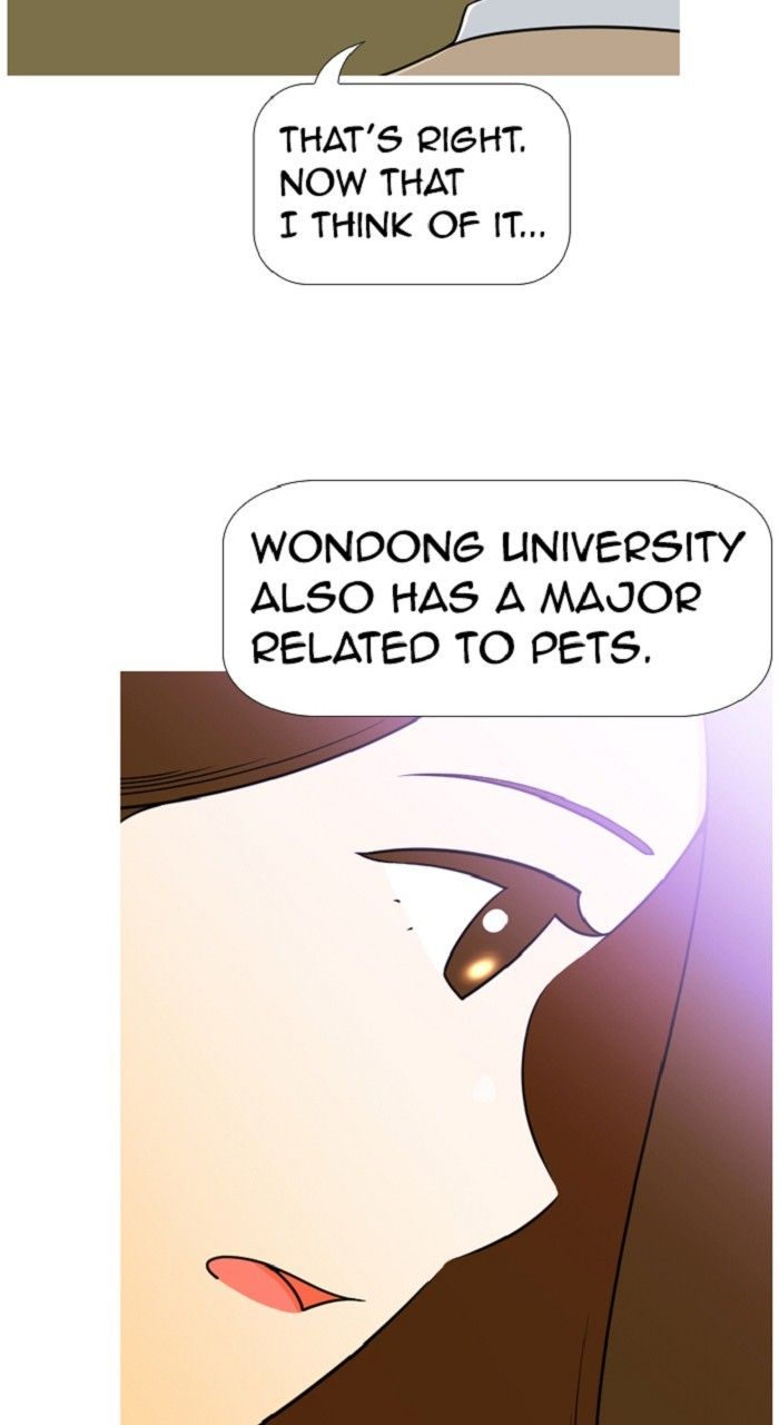 Normal Class 8 chapter 311 page 39