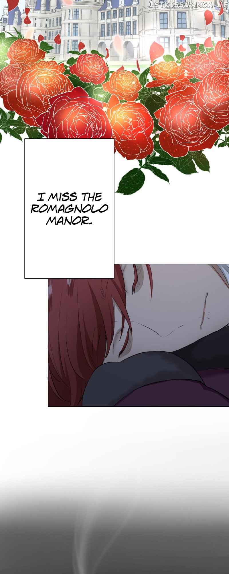 Nulliitas: The Half-Blood Royalty chapter 113 page 42