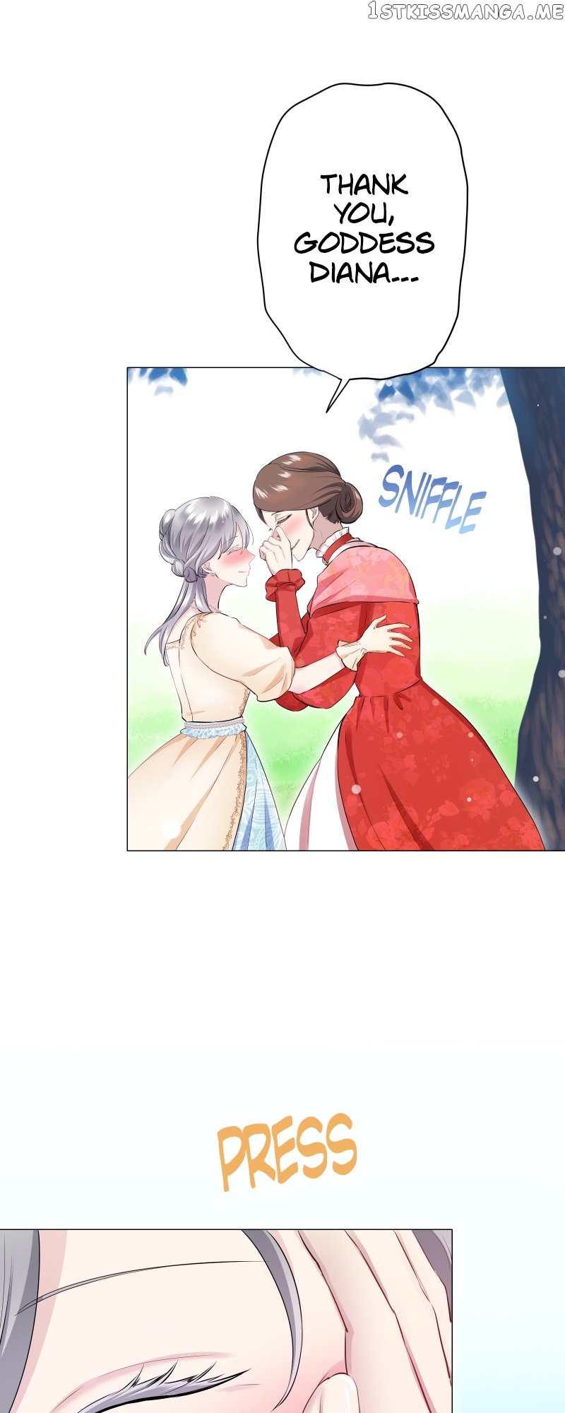 Nulliitas: The Half-Blood Royalty chapter 119 page 46