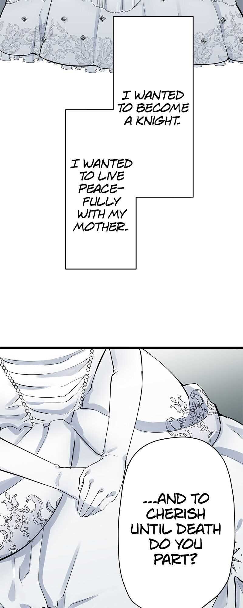 Nulliitas: The Half-Blood Royalty chapter 22 page 14