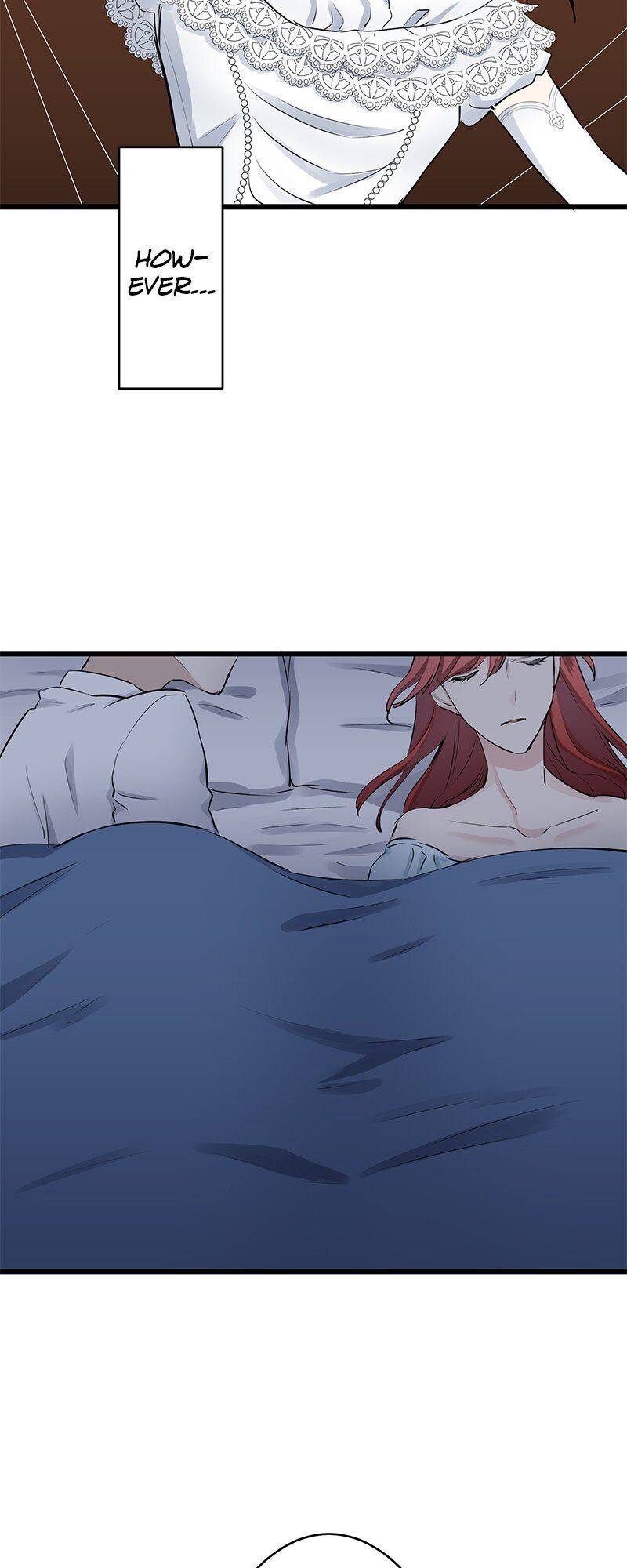 Nulliitas: The Half-Blood Royalty chapter 24 page 47