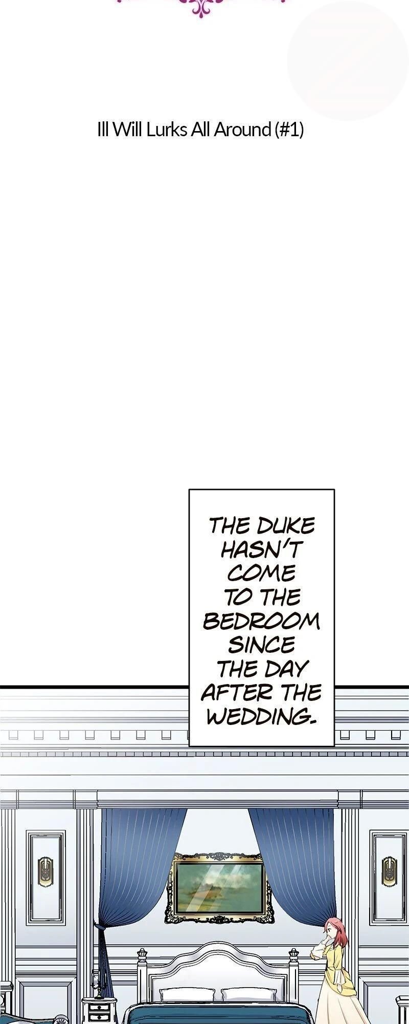 Nulliitas: The Half-Blood Royalty chapter 26 page 9