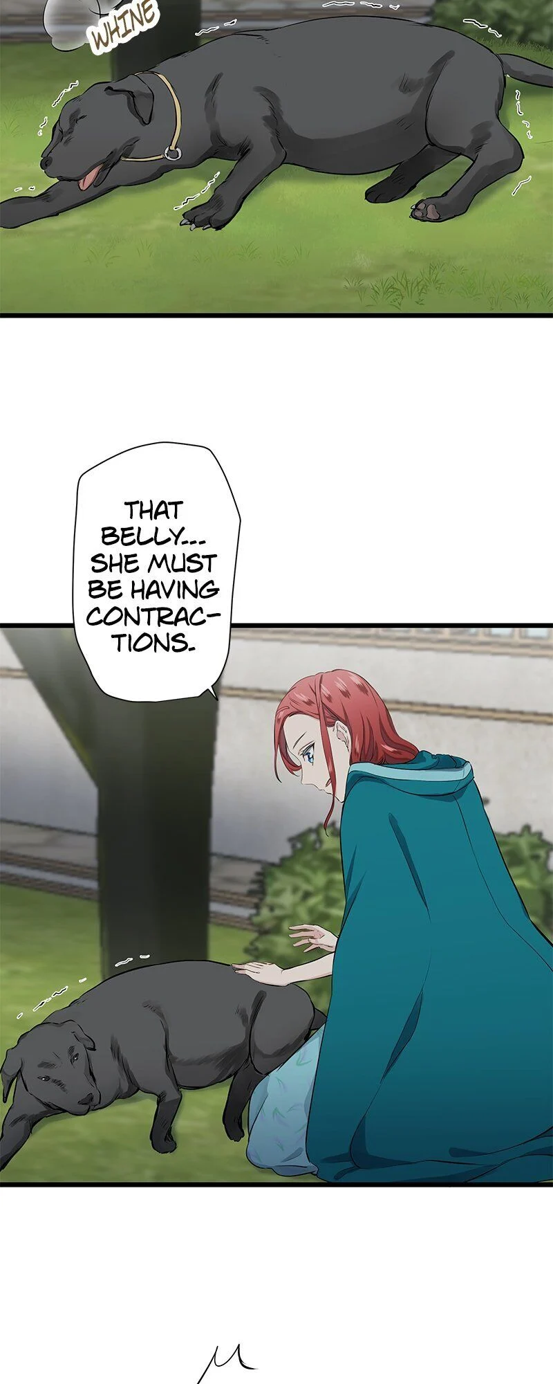 Nulliitas: The Half-Blood Royalty chapter 28 page 13