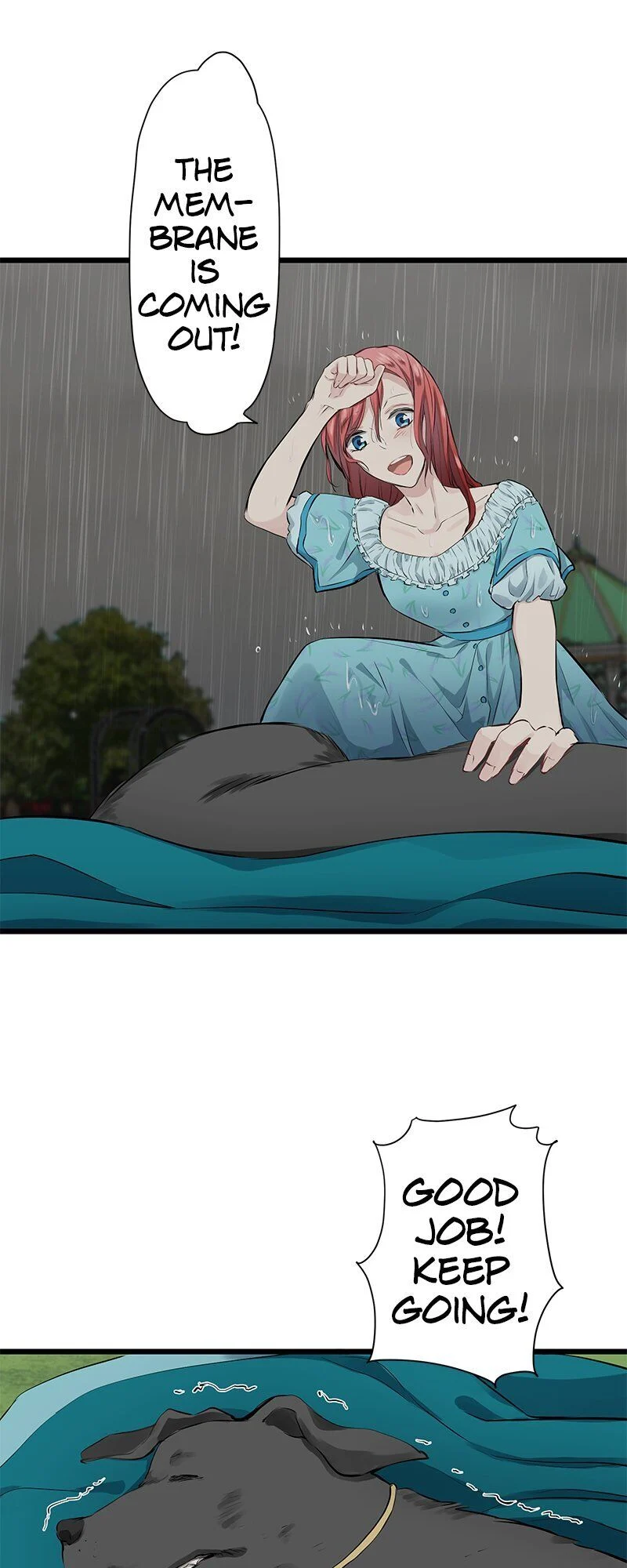 Nulliitas: The Half-Blood Royalty chapter 28 page 21