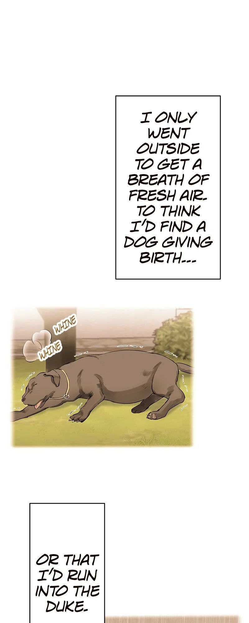 Nulliitas: The Half-Blood Royalty chapter 29 page 12