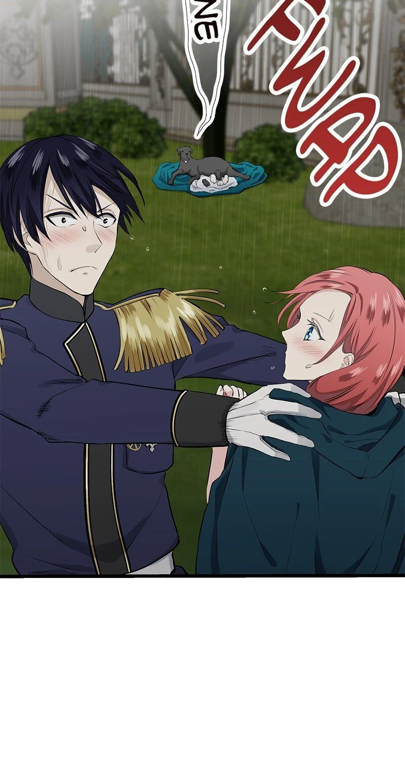 Nulliitas: The Half-Blood Royalty chapter 29 page 5