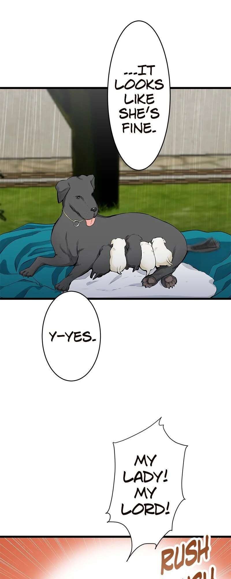 Nulliitas: The Half-Blood Royalty chapter 29 page 6