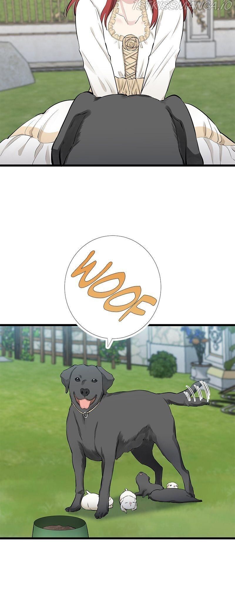 Nulliitas: The Half-Blood Royalty chapter 30 page 25