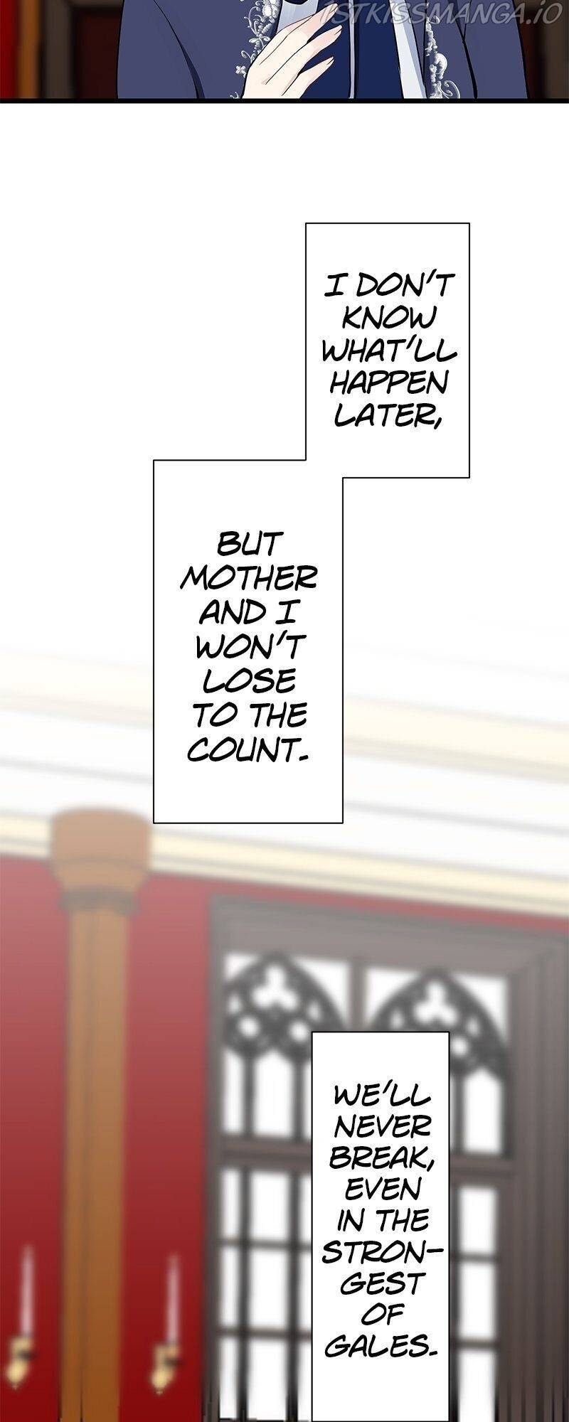 Nulliitas: The Half-Blood Royalty chapter 44 page 47