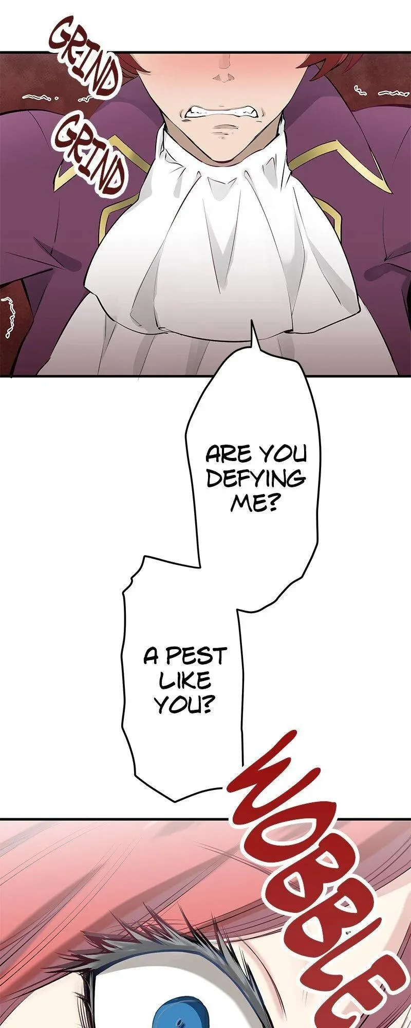 Nulliitas: The Half-Blood Royalty chapter 45 page 13