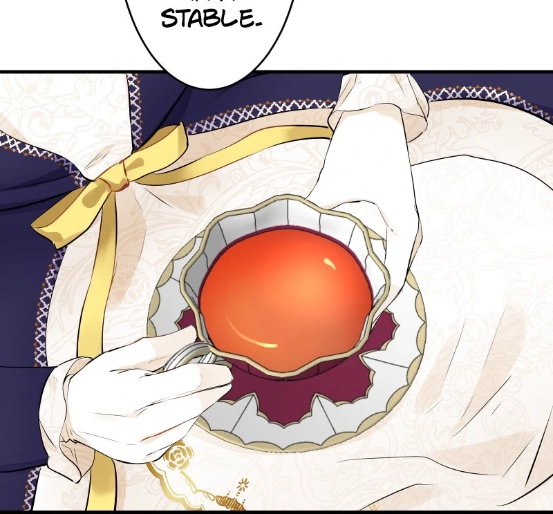 Nulliitas: The Half-Blood Royalty chapter 60 page 15