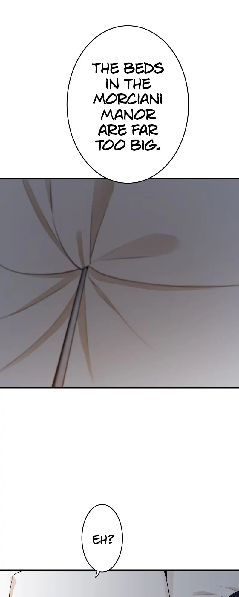 Nulliitas: The Half-Blood Royalty chapter 63 page 17