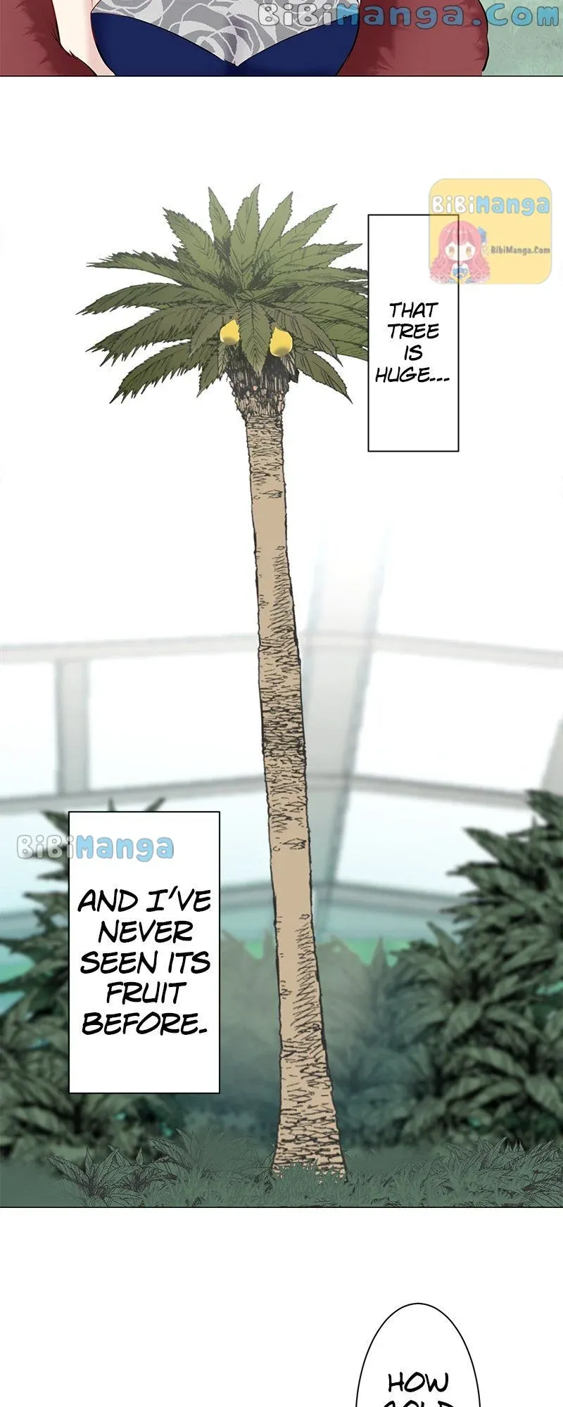 Nulliitas: The Half-Blood Royalty chapter 92 page 12