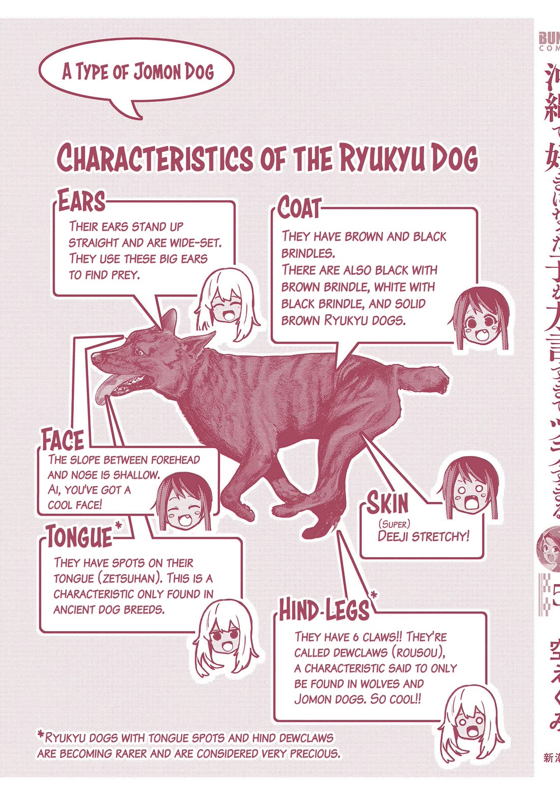 Okinawa de Suki ni Natta Ko ga Hougen Sugite Tsura Sugiru chapter 49.5 page 17