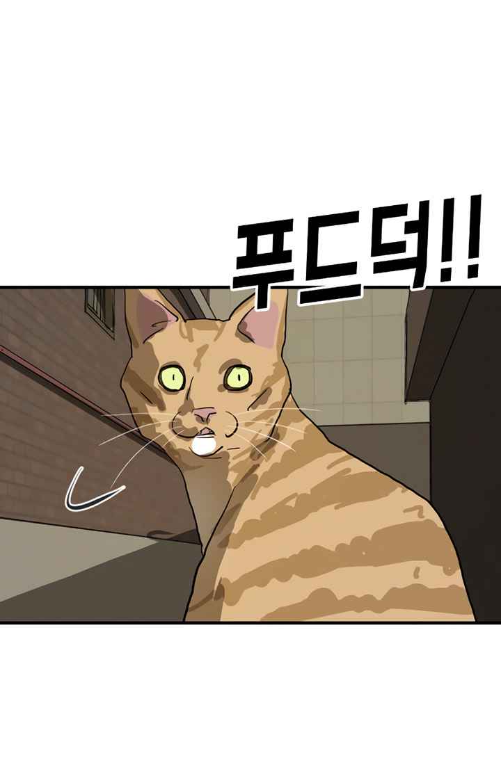 One Day, Suddenly, Seoul Is chapter 14 page 64