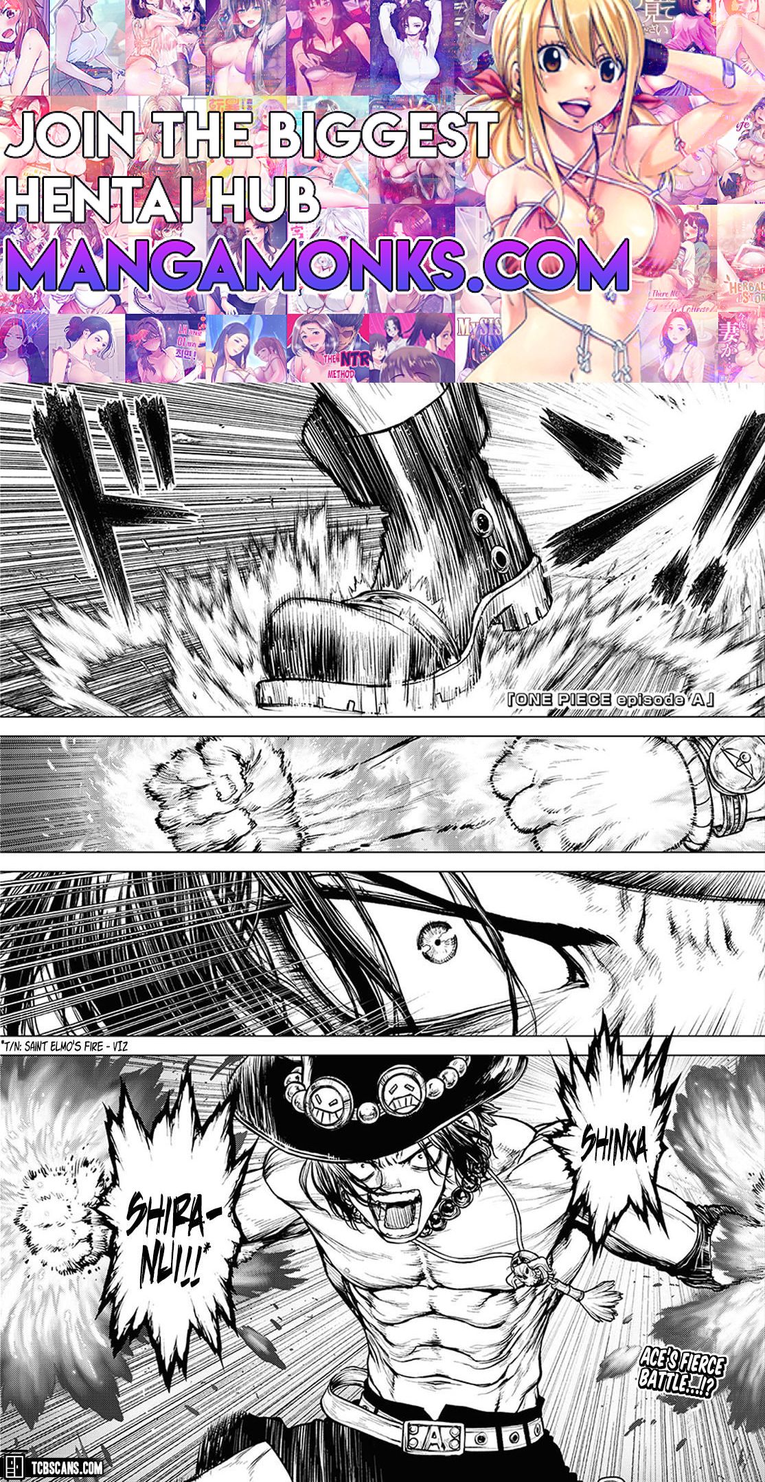 One Piece chapter 1003.5 page 1