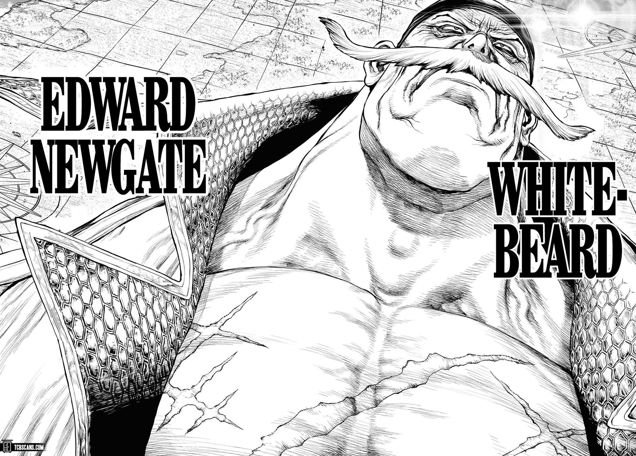 One Piece chapter 1003.5 page 41