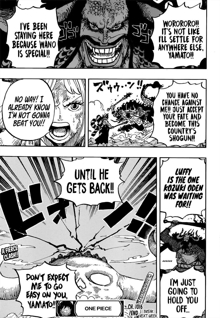 One Piece chapter 1016 page 15