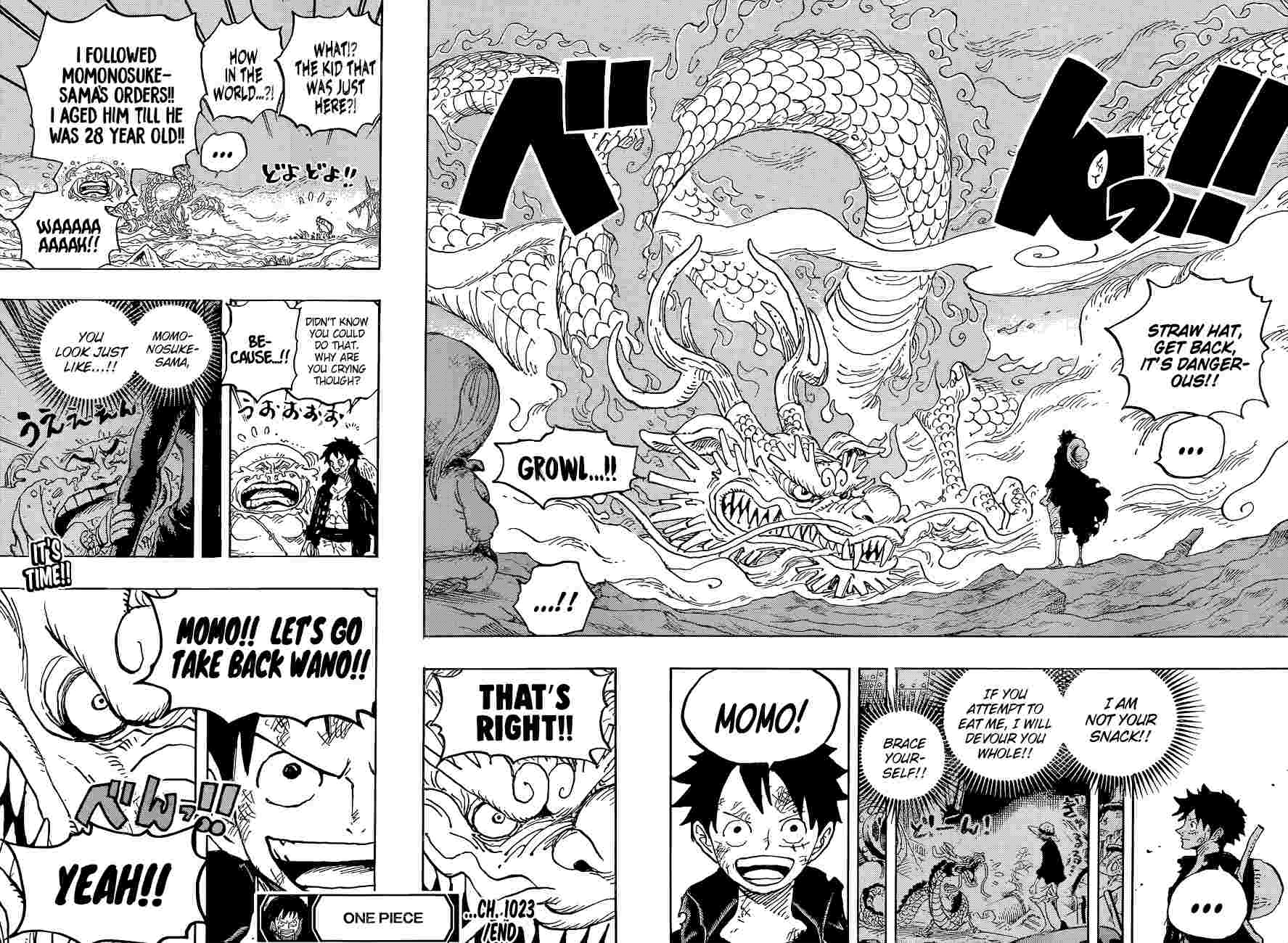 One Piece chapter 1023 page 18