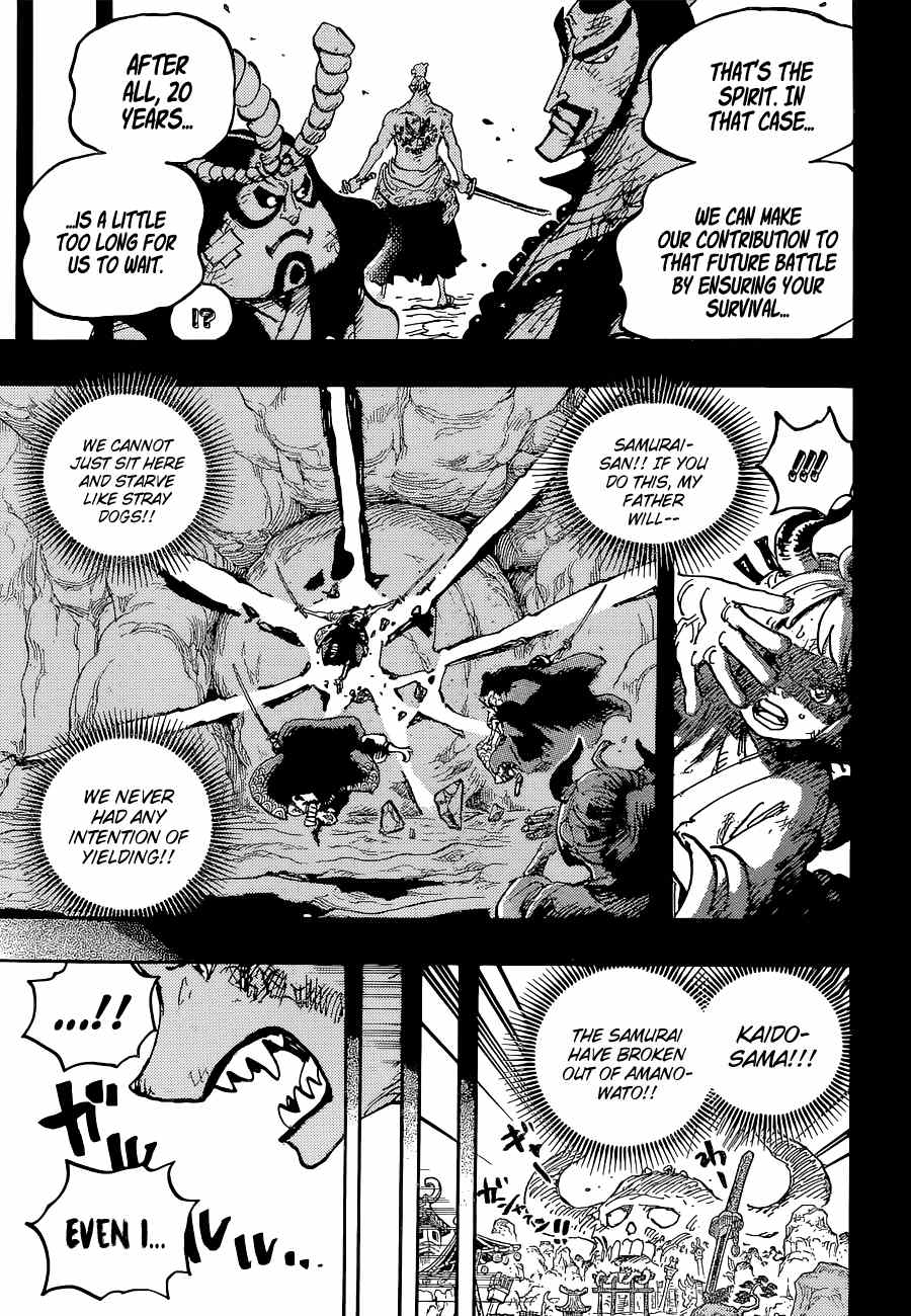 One Piece chapter 1024 page 17