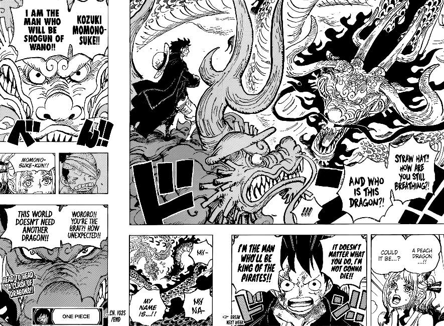 One Piece chapter 1025 page 16