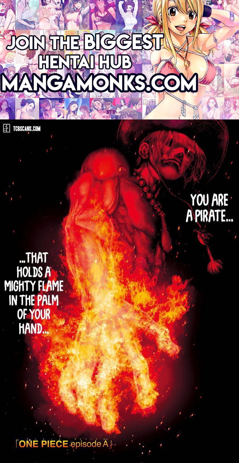 One Piece chapter 1033.5 page 1