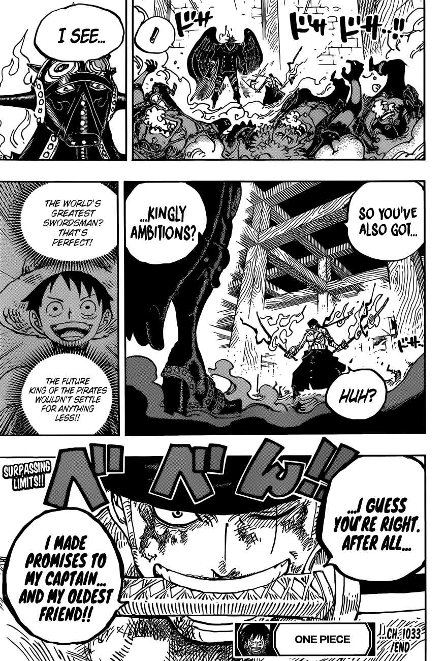One Piece chapter 1033 page 19