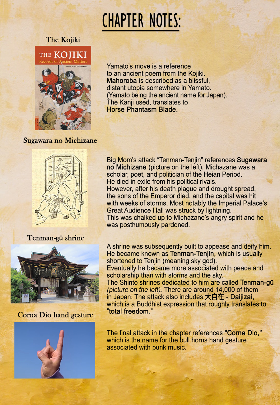 One Piece chapter 1038 page 16