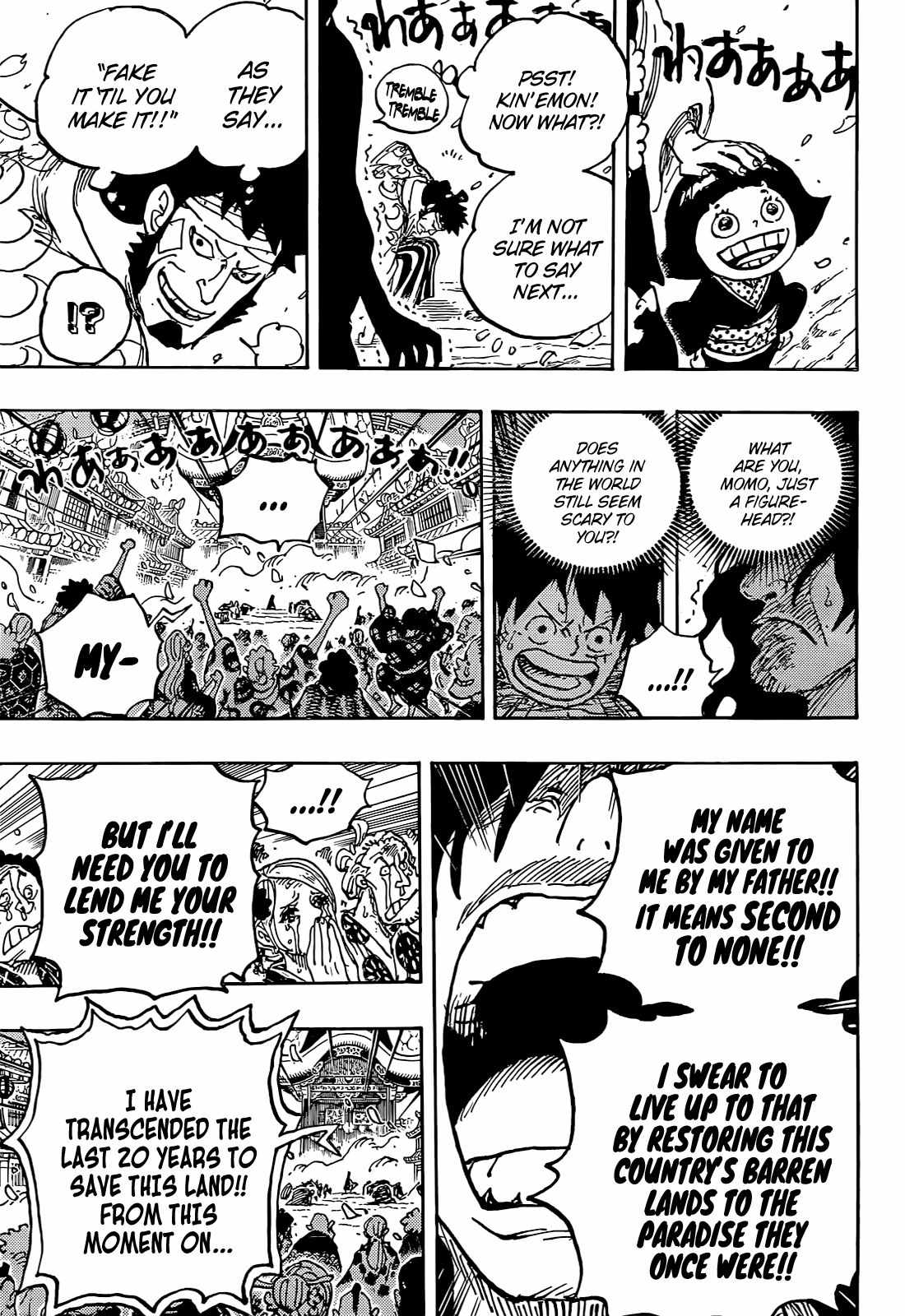 One Piece chapter 1051 page 14