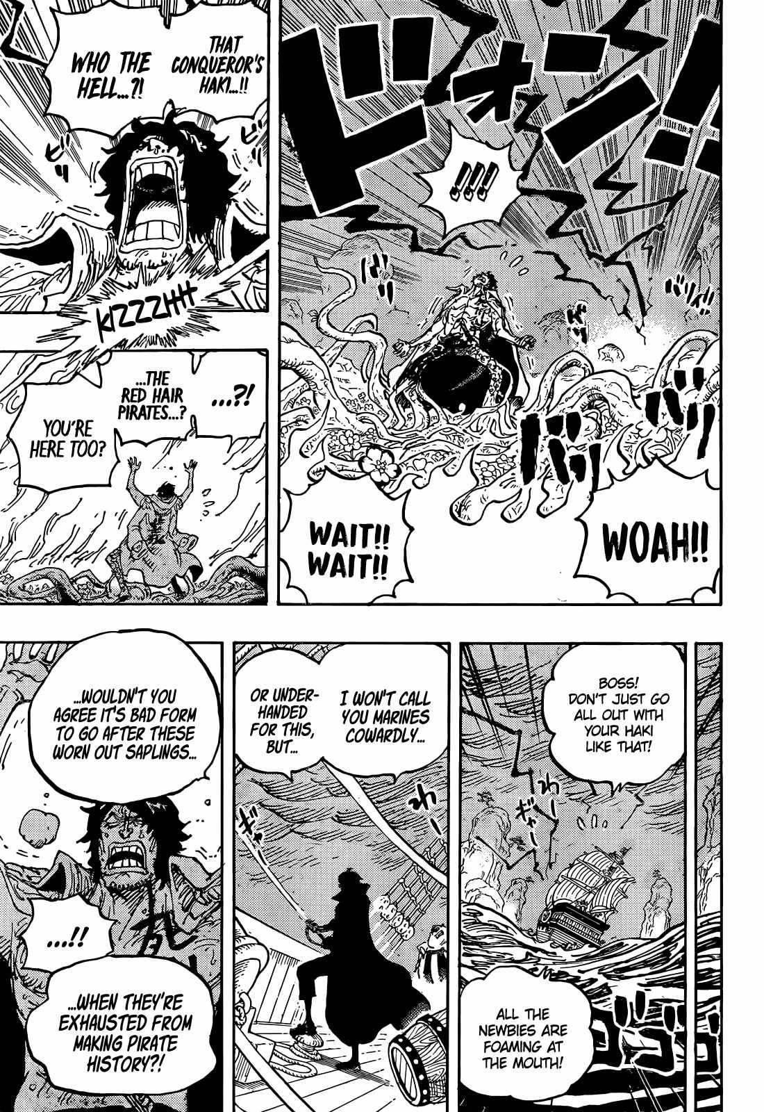 One Piece chapter 1055 page 17