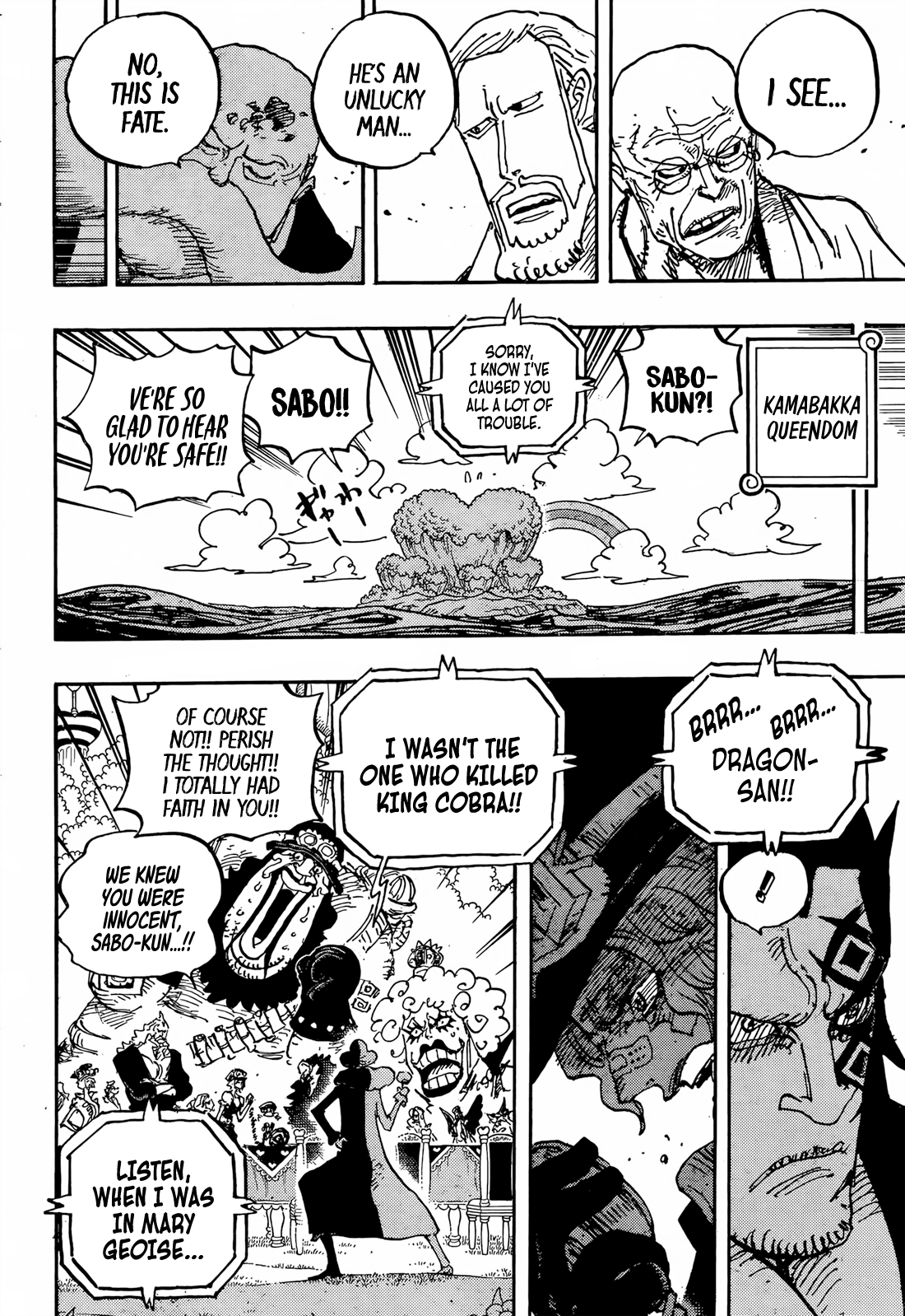 One Piece chapter 1060 page 11