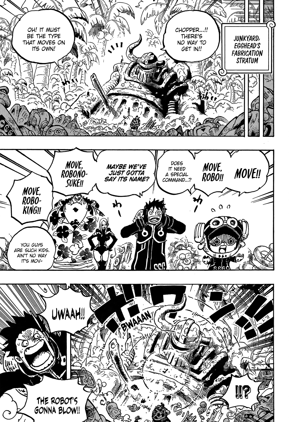 One Piece chapter 1066 page 15