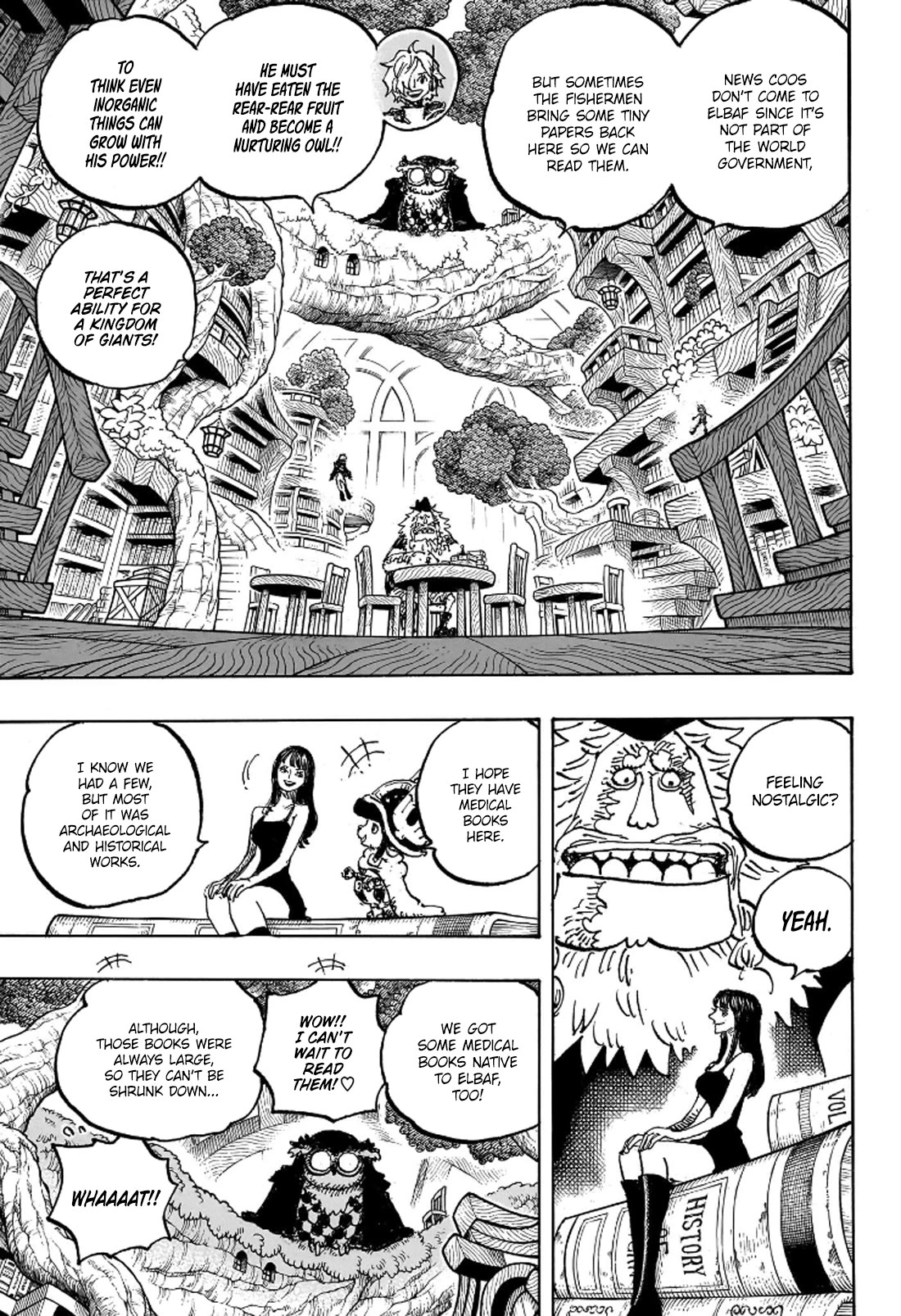 One Piece chapter 1135 page 4
