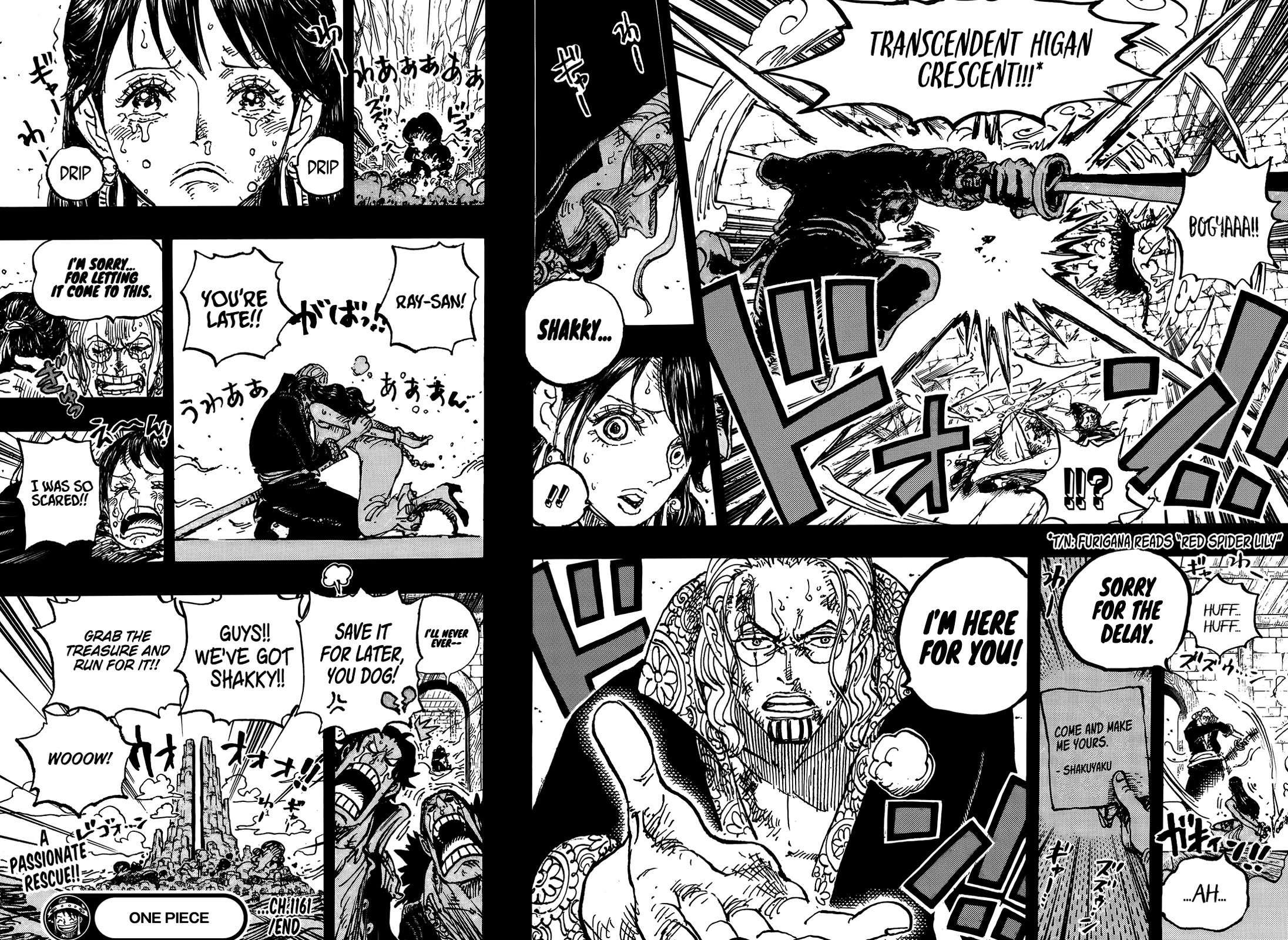 One Piece chapter 1161 page 16