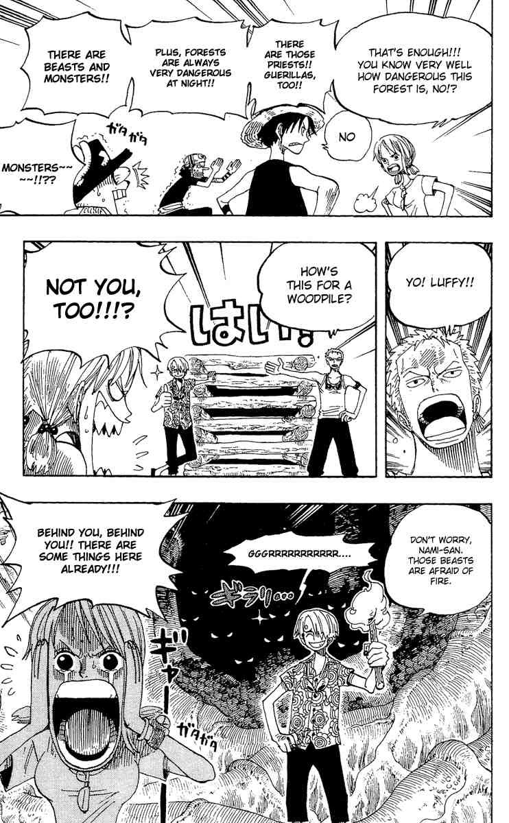 One Piece chapter 253 page 13