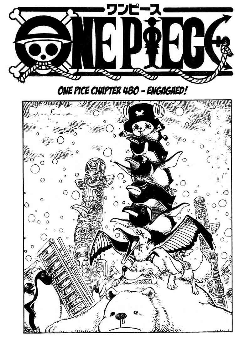 One Piece chapter 480 page 1