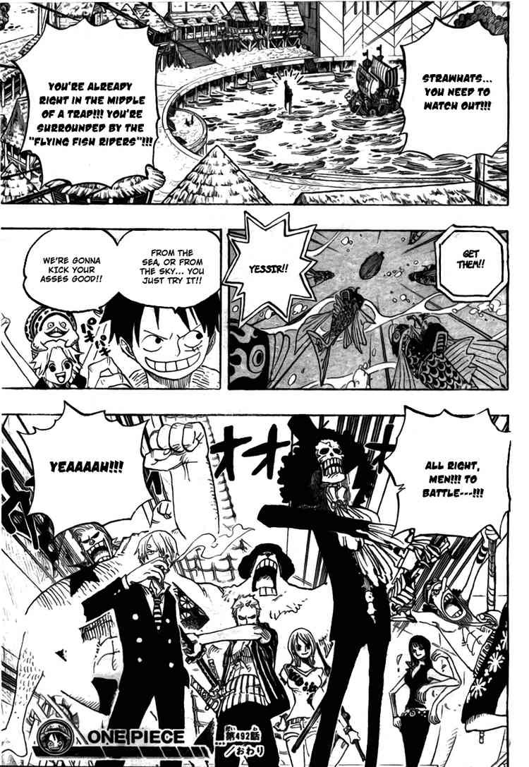 One Piece chapter 492 page 19